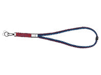 CORDINO PORSCHE – MARTINI RACING®