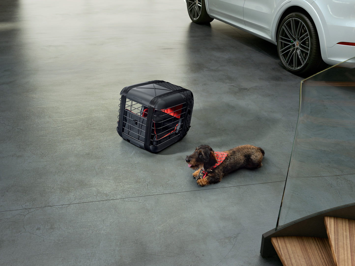 Trasportino da Abitacolo per Animali